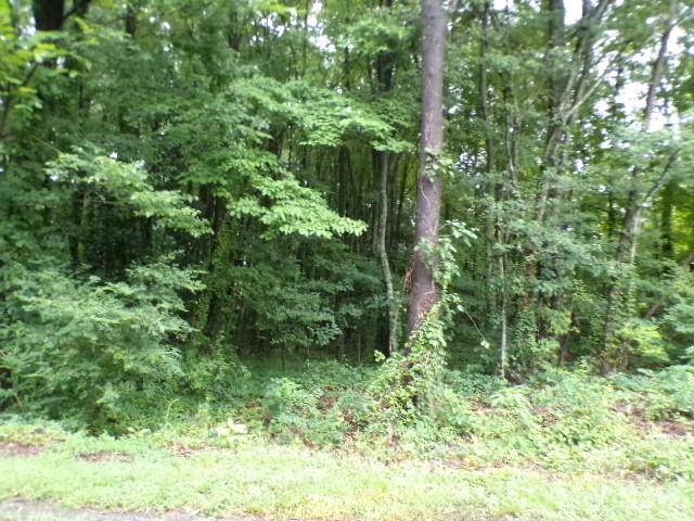 0 Larch RD #28, Salisbury, NC 28147