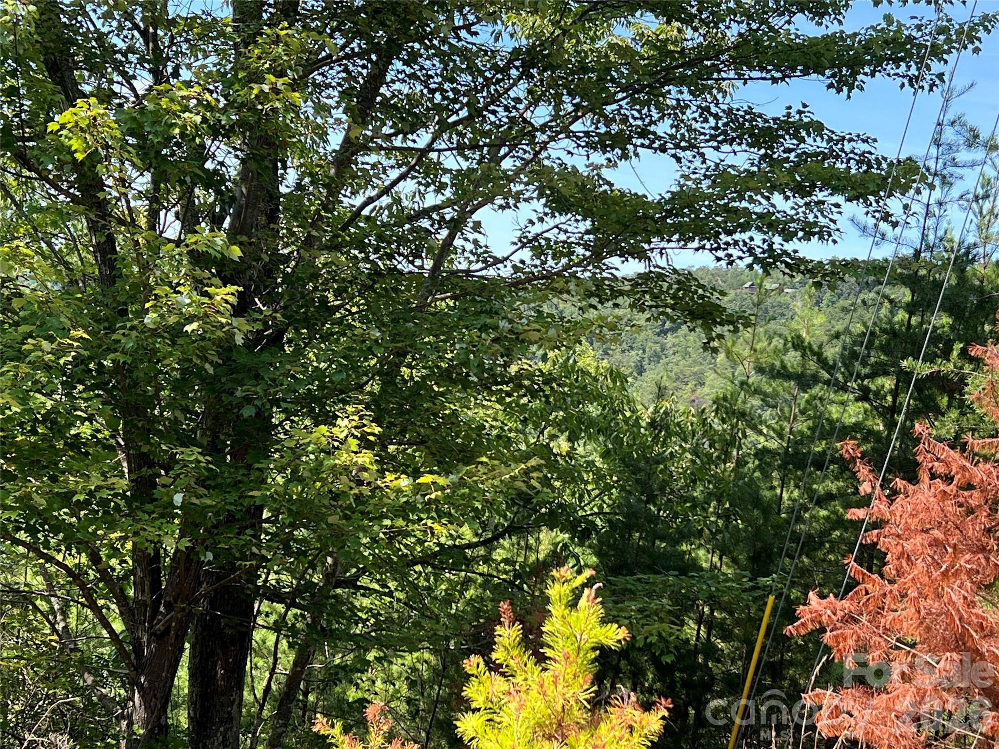 0 Brighton DR #226, Bostic, NC 28018