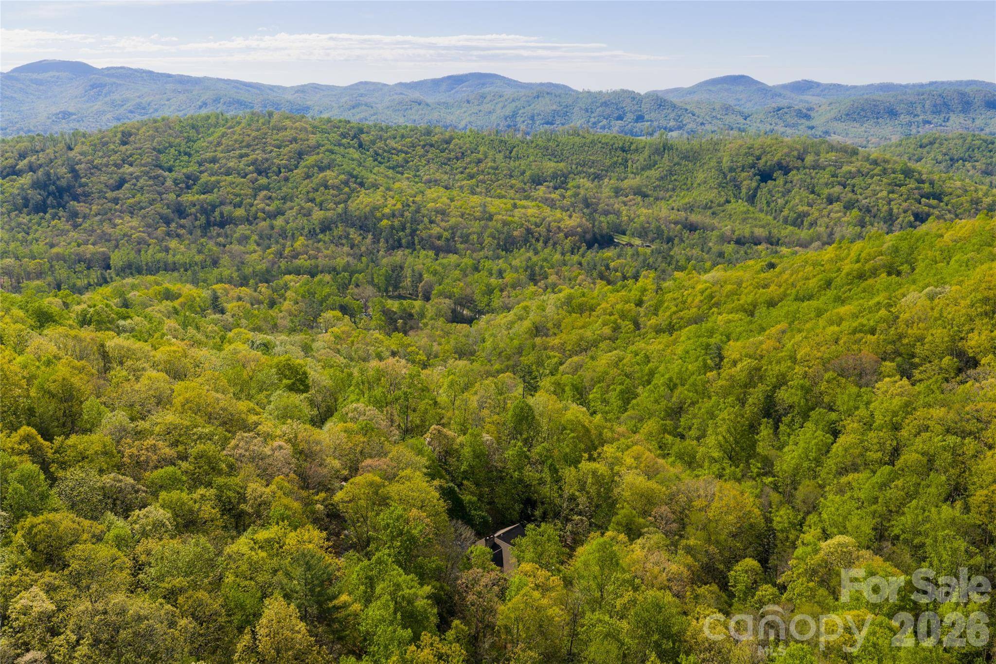 36 Snowshoe DR, Asheville, NC 28803
