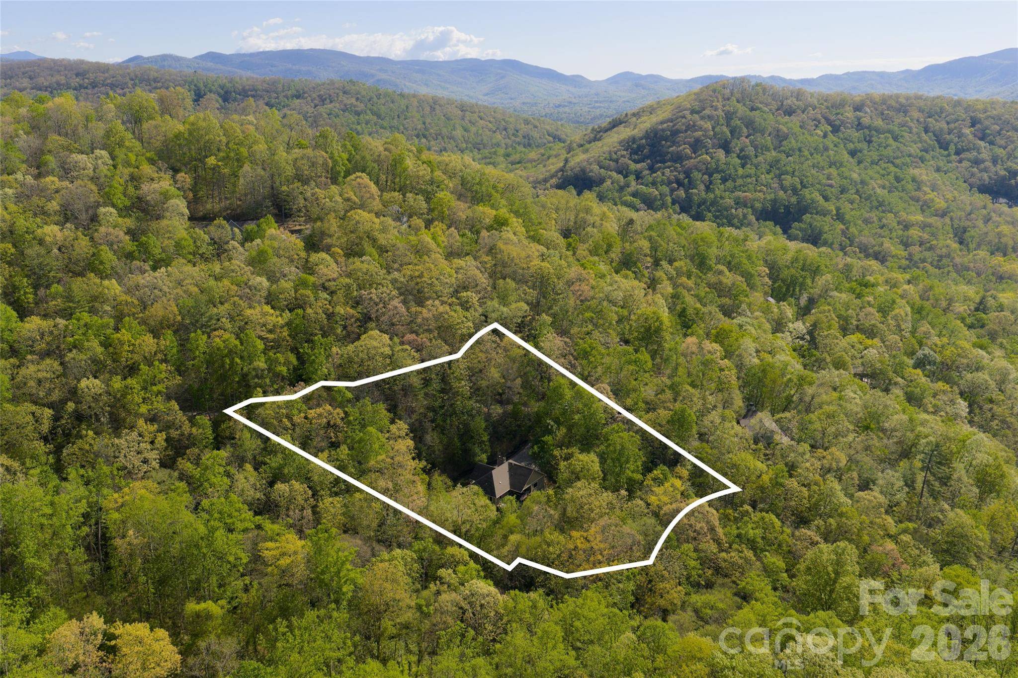 36 Snowshoe DR, Asheville, NC 28803