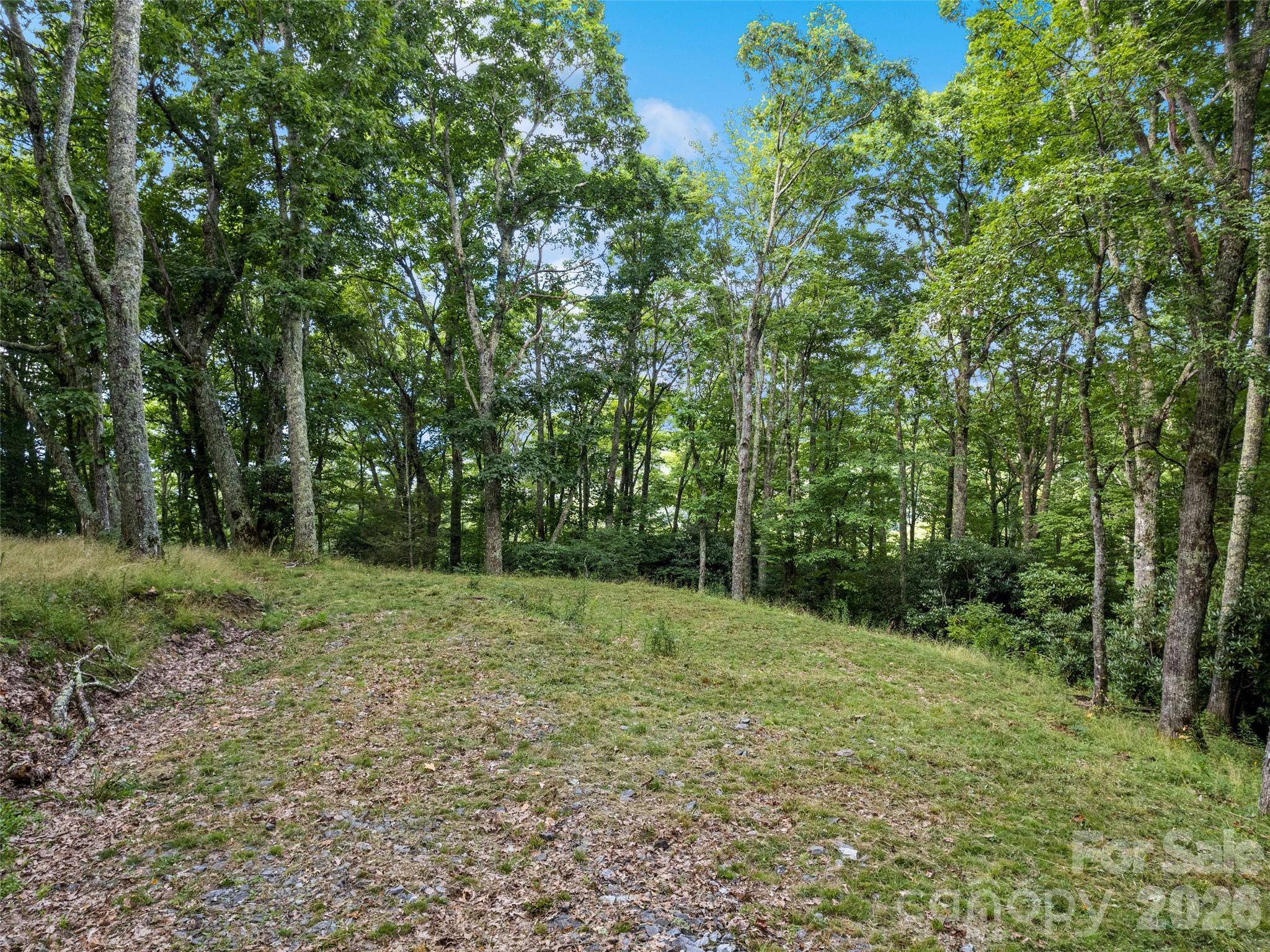 000 Wagon Trail RD, Maggie Valley, NC 28751