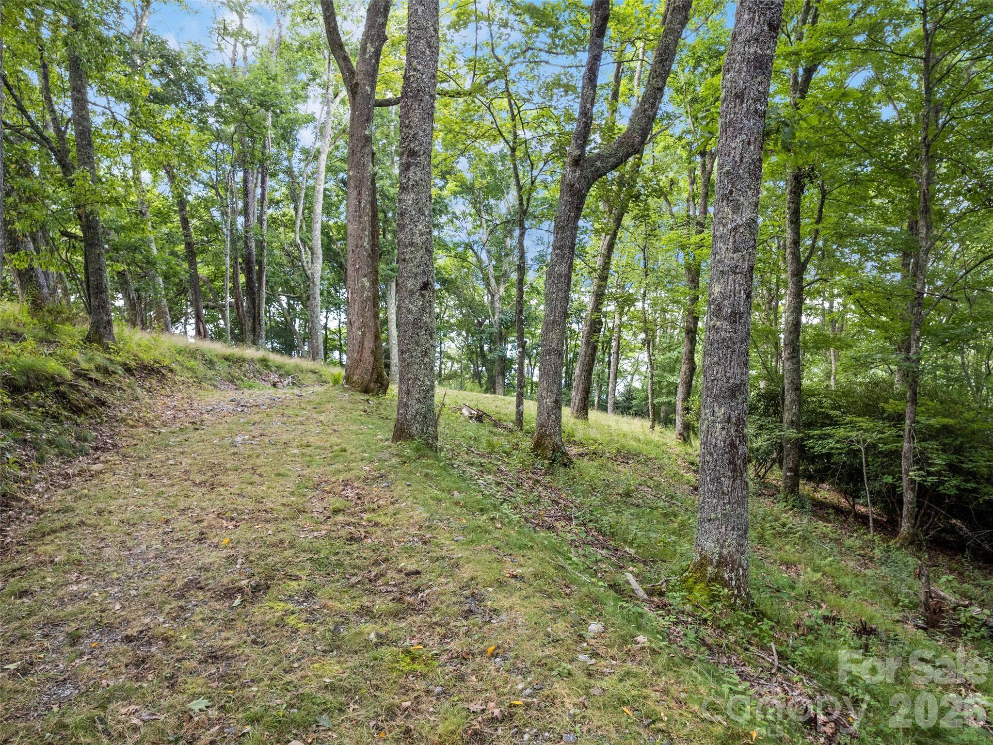 000 Wagon Trail RD, Maggie Valley, NC 28751