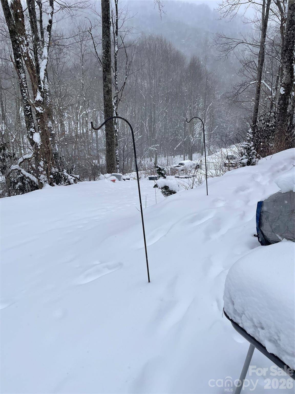 1526 Pine Mountain RD, Creston, NC 28615