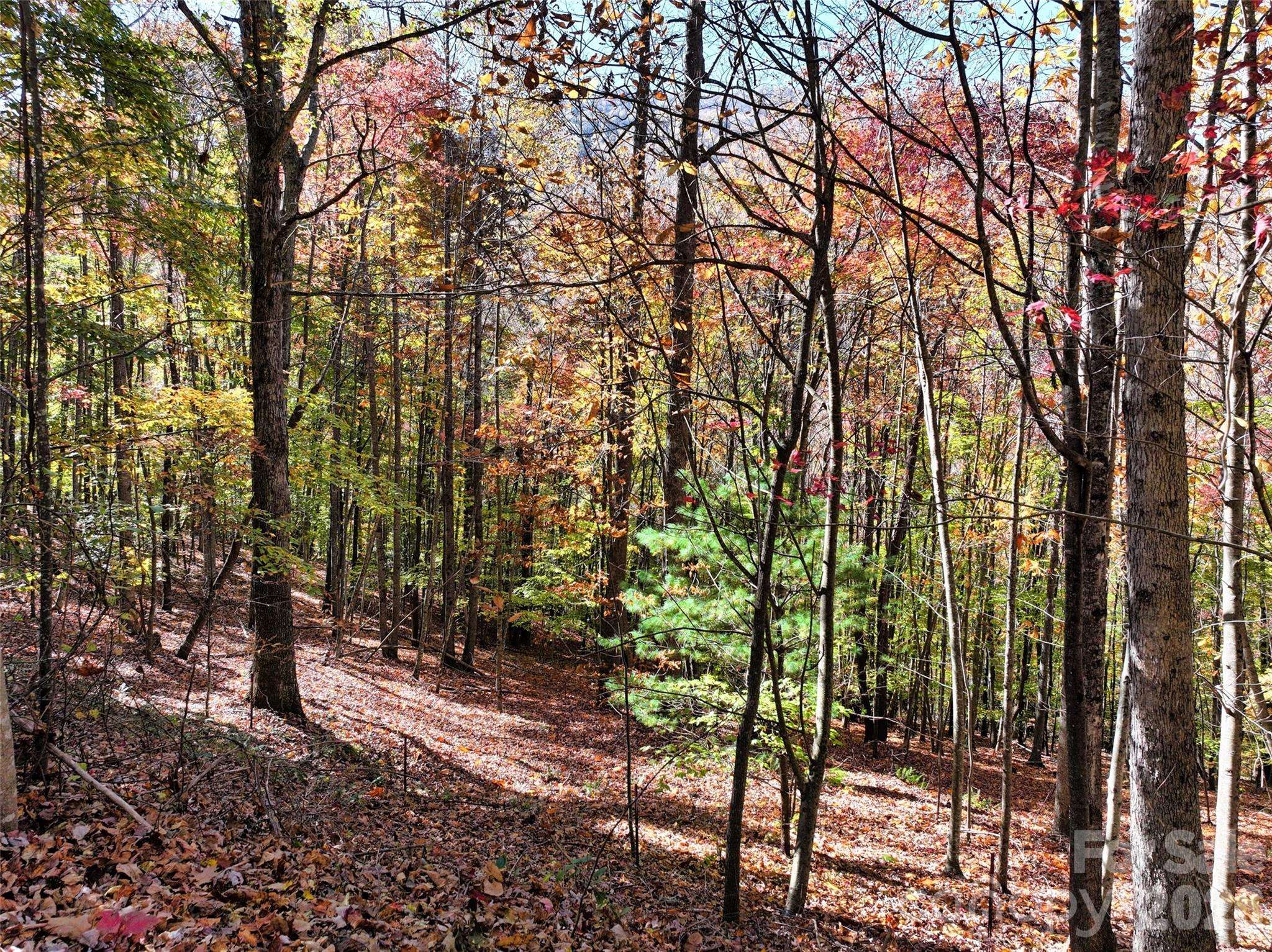 829 Stoney Stream LN, Arden, NC 28704