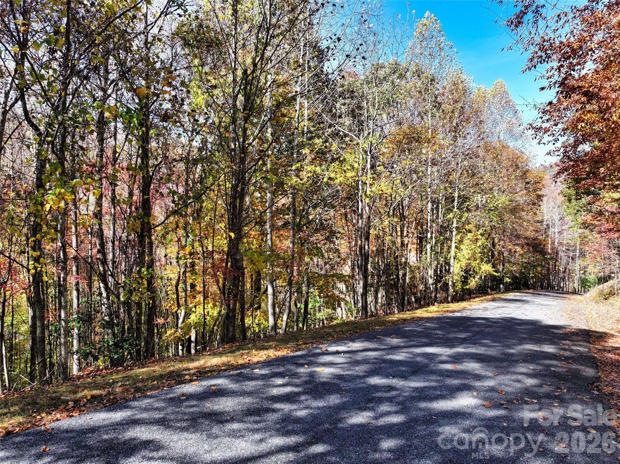 829 Stoney Stream LN, Arden, NC 28704