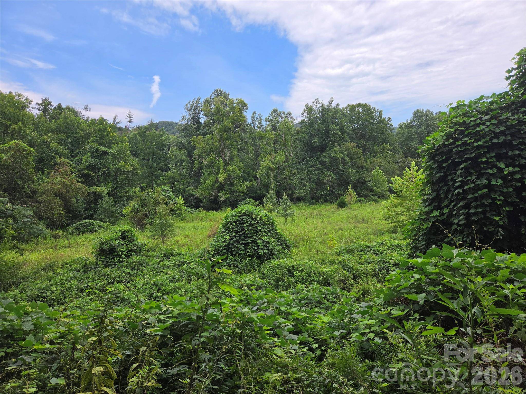 6059 Mount Zion RD, Ferguson, NC 28624
