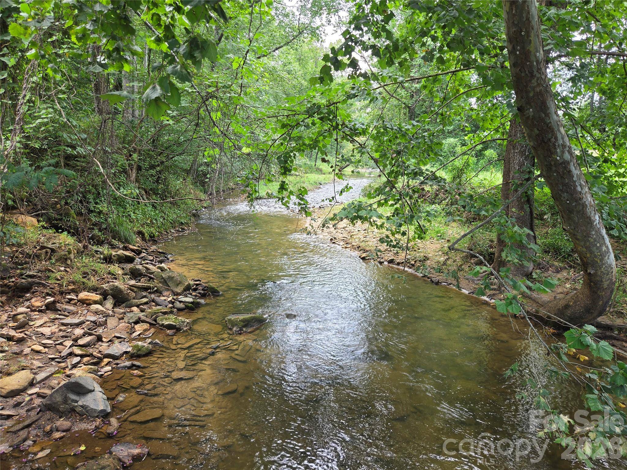 6059 Mount Zion RD, Ferguson, NC 28624