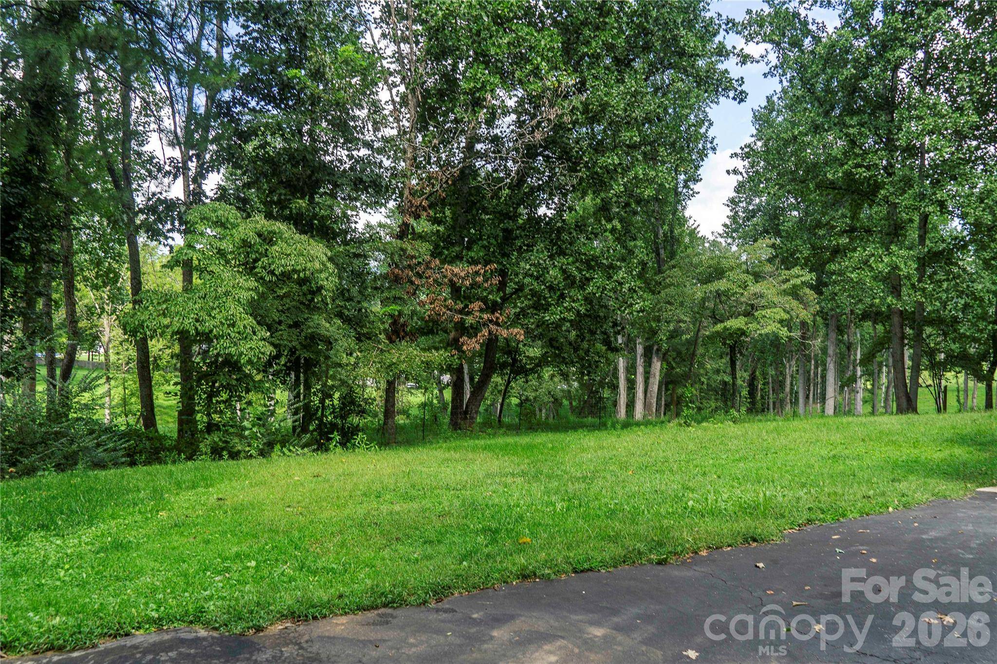 15 Pete Luther RD, Candler, NC 28715