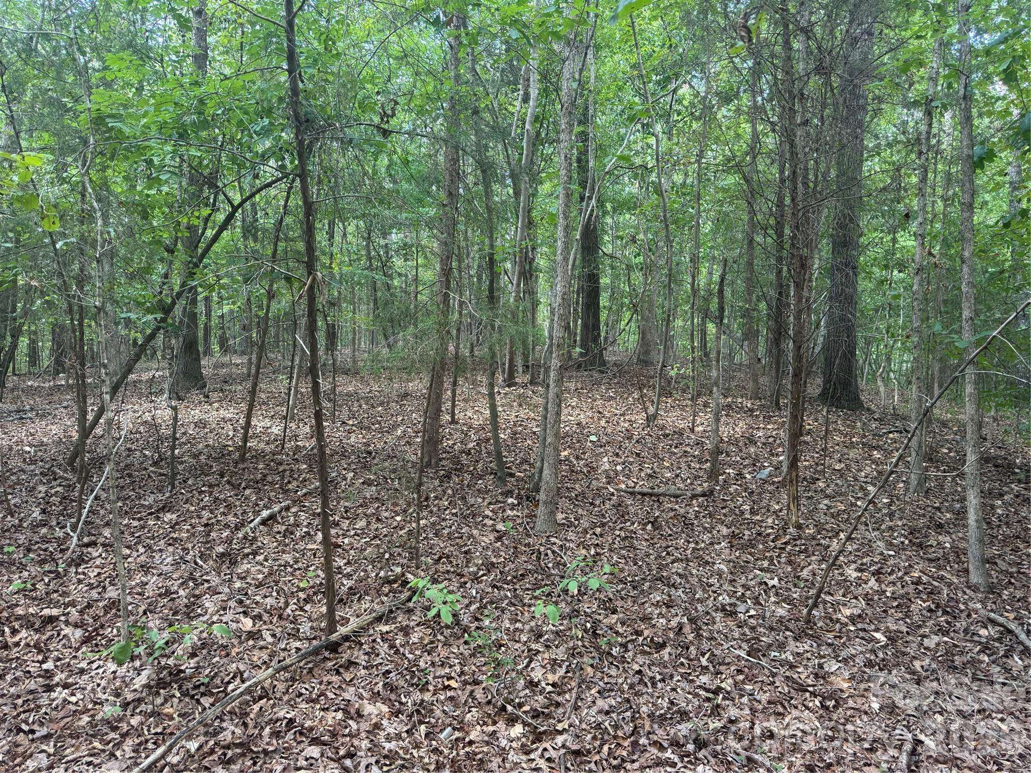 7.5 Acres Old Camden Monroe HWY, Lancaster, SC 29720