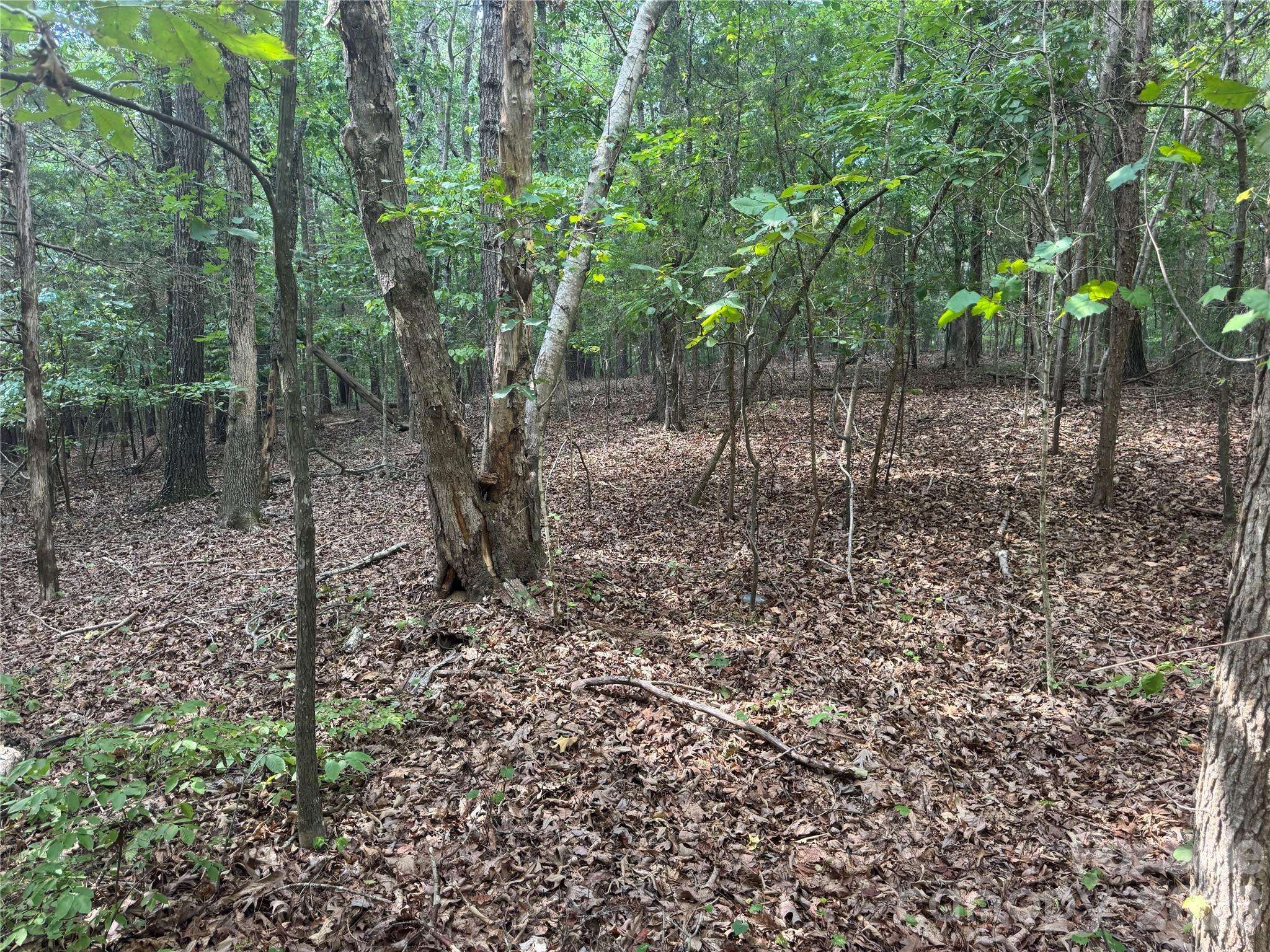 7.5 Acres Old Camden Monroe HWY, Lancaster, SC 29720
