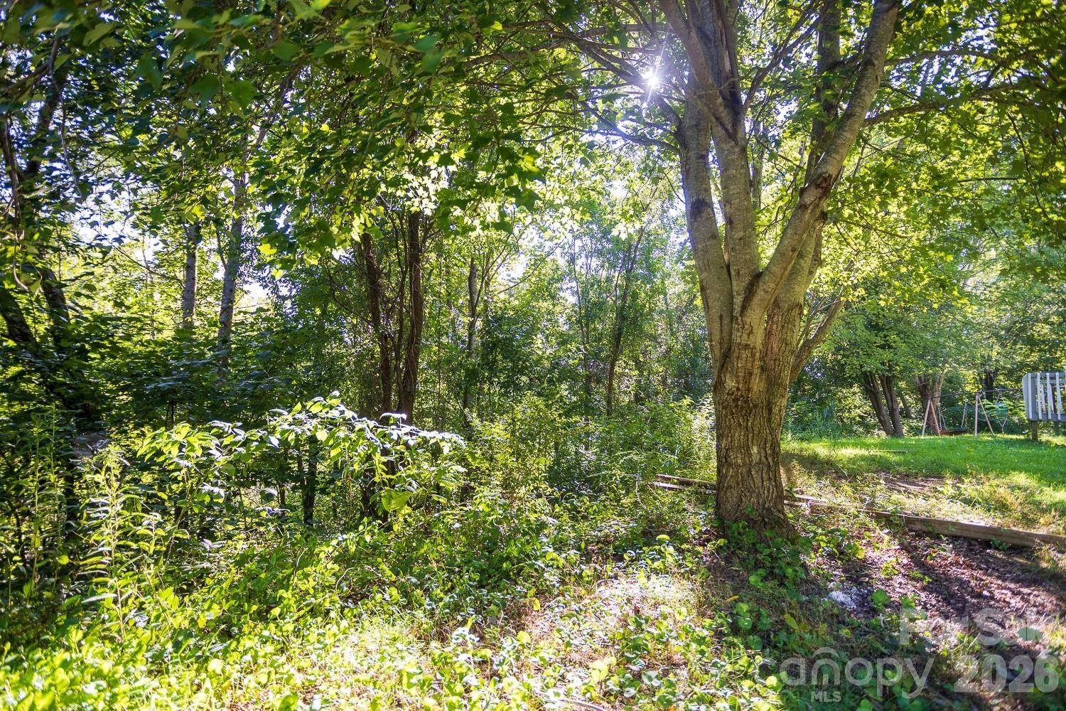 56 Longs Chapel RD, Weaverville, NC 28787