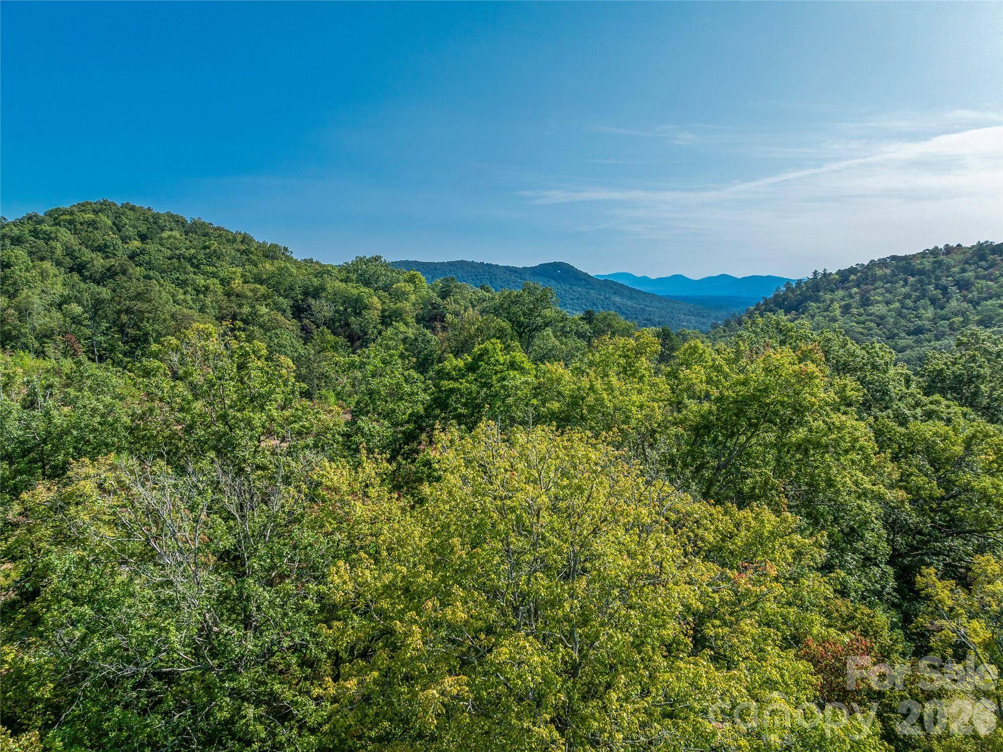 567 Davey Branch RD, Horse Shoe, NC 28742