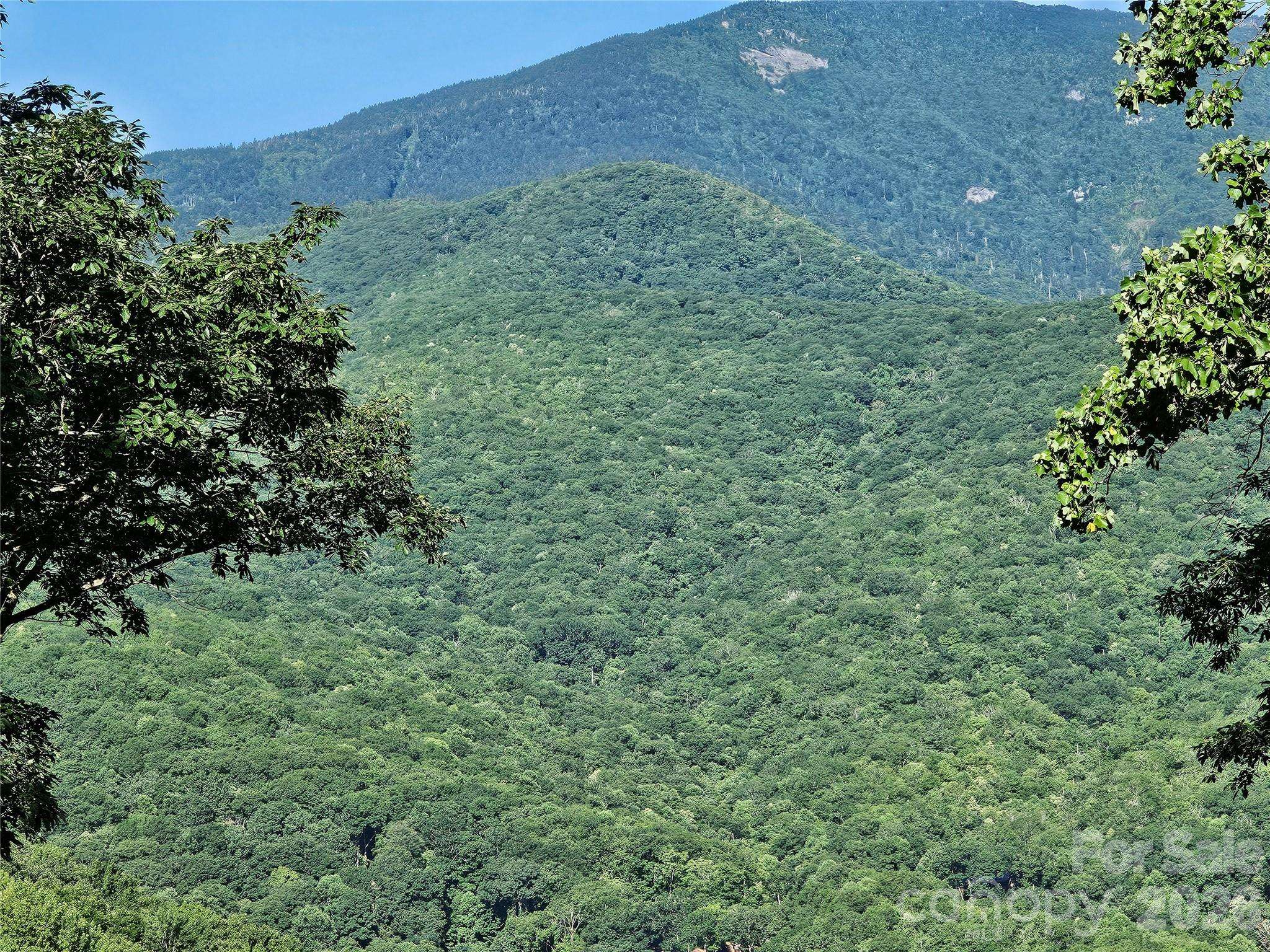 109 Big Ridge RD #109, Burnsville, NC 28714