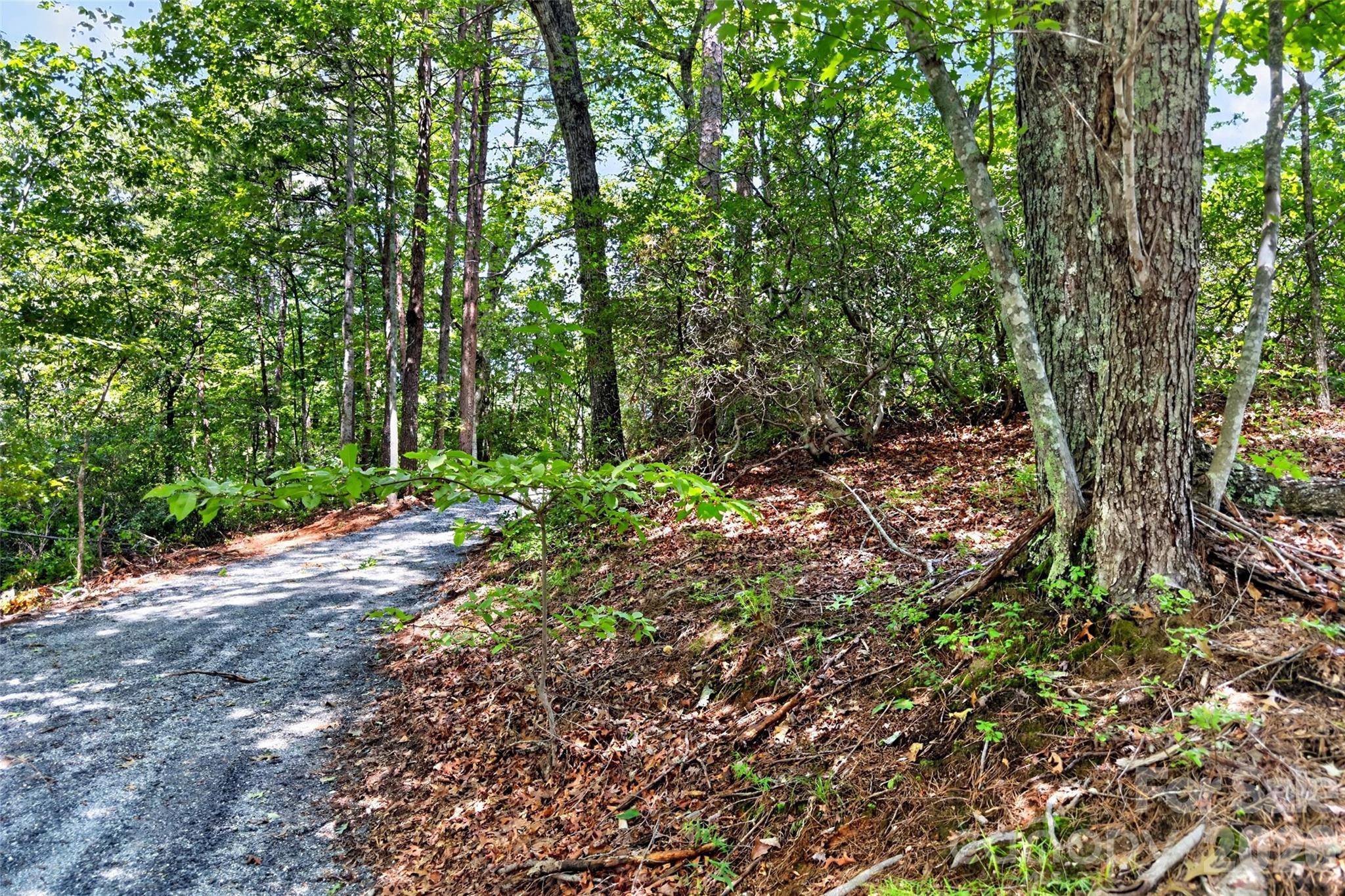 000 Buffalo Shoals RD, Lake Lure, NC 28746