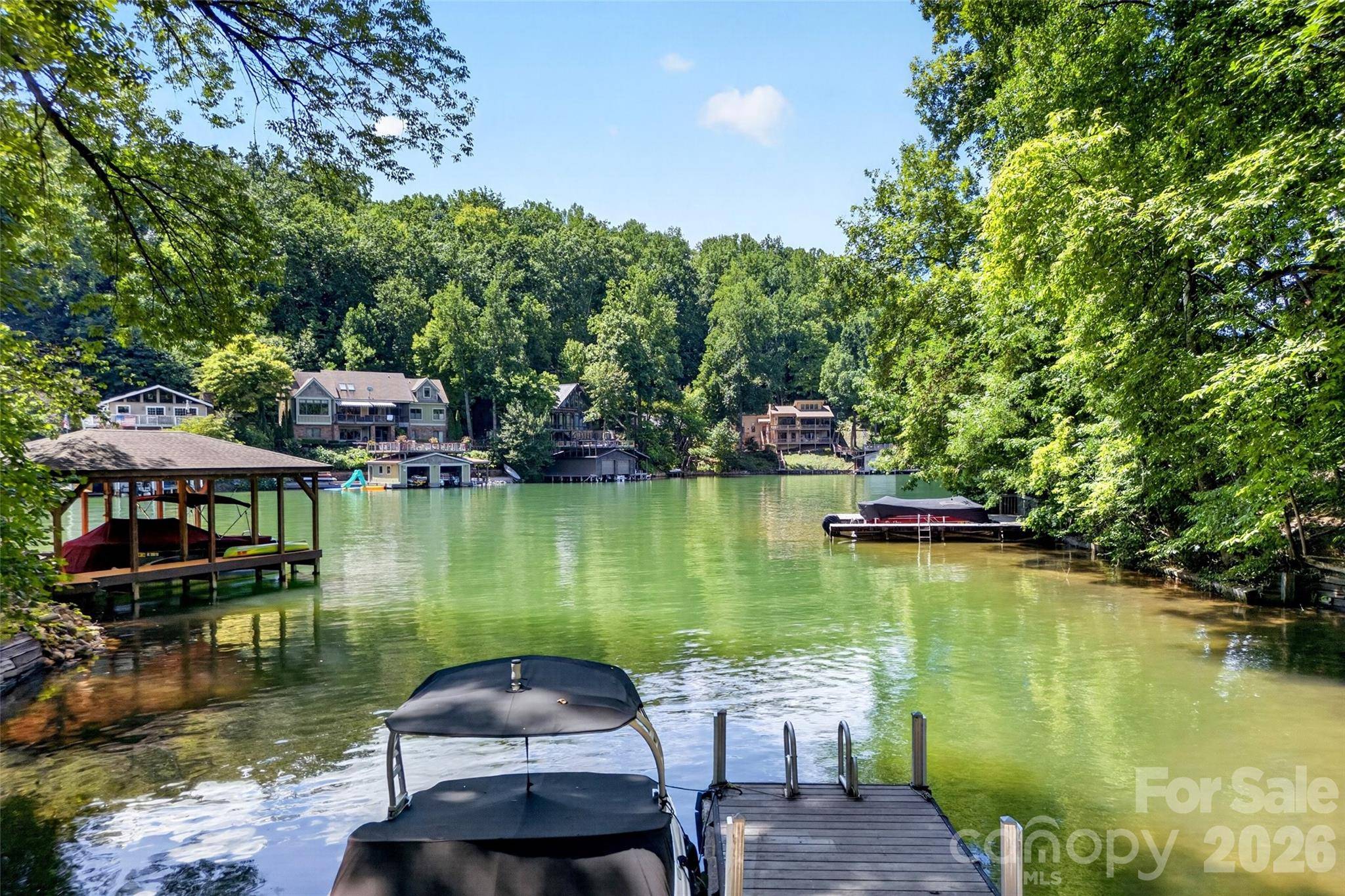 000 Buffalo Shoals RD, Lake Lure, NC 28746