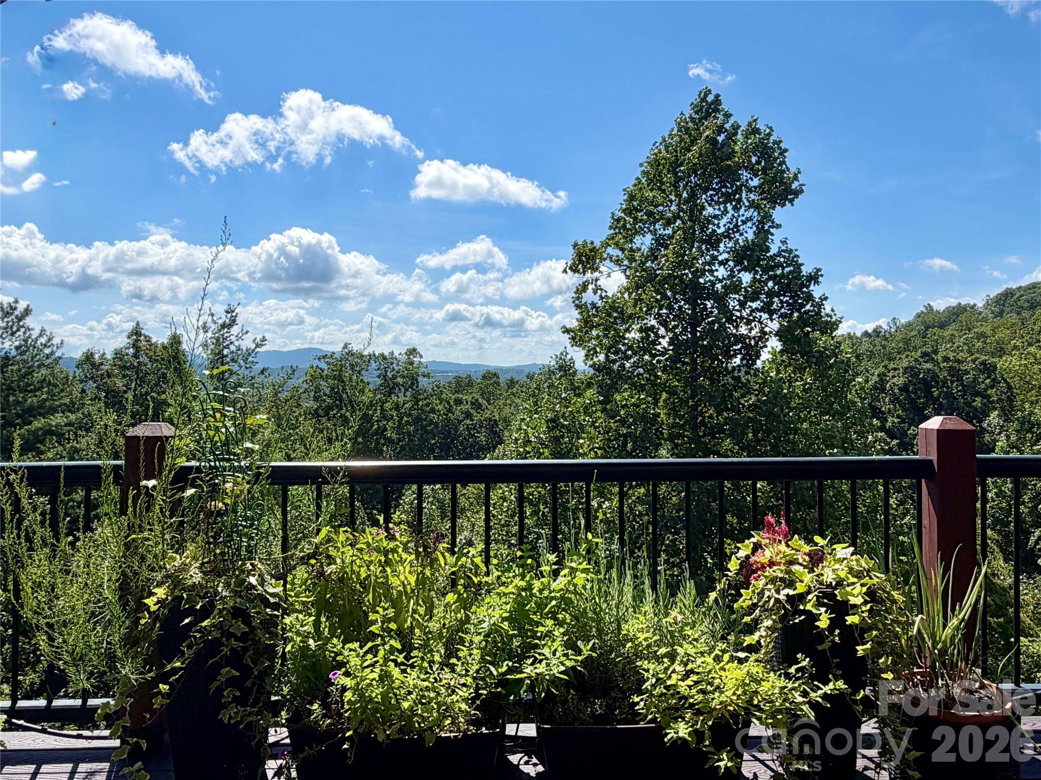 16 Britton Knoll PASS, Arden, NC 28704