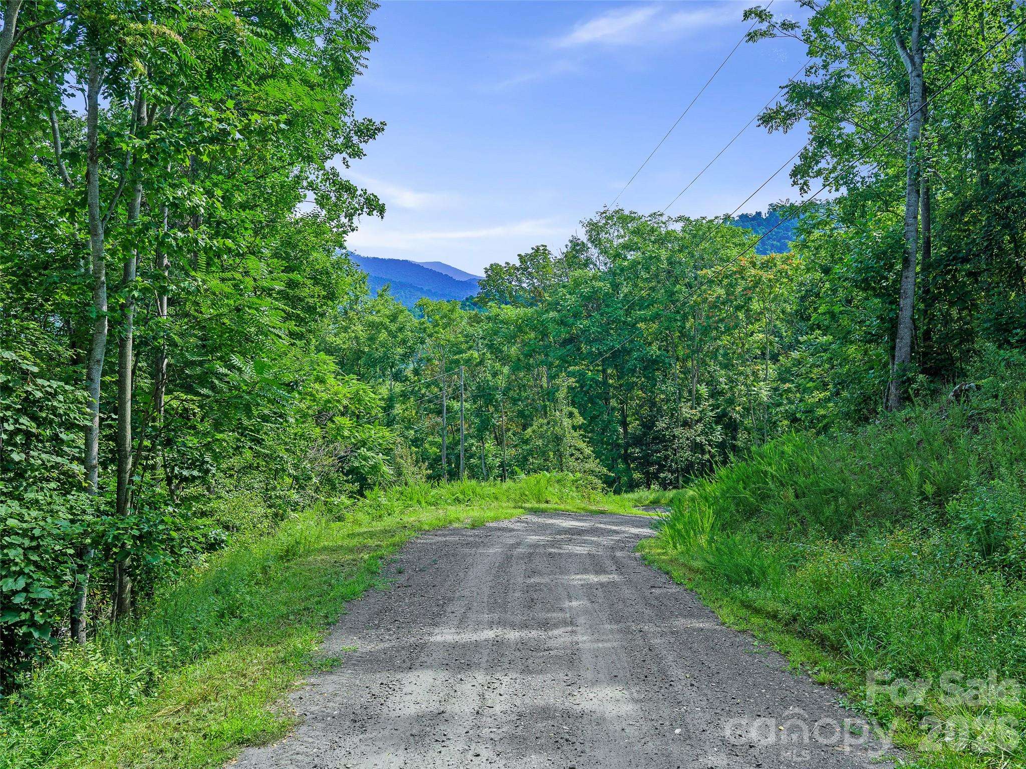 Lot #63-65 Bear Ridge RD, Bakersville, NC 28705