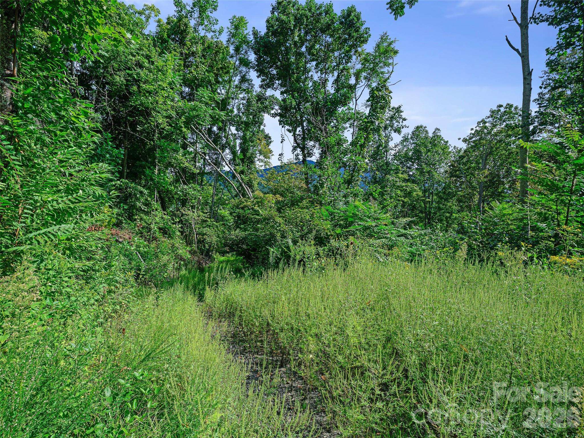 Lot #63-65 Bear Ridge RD, Bakersville, NC 28705