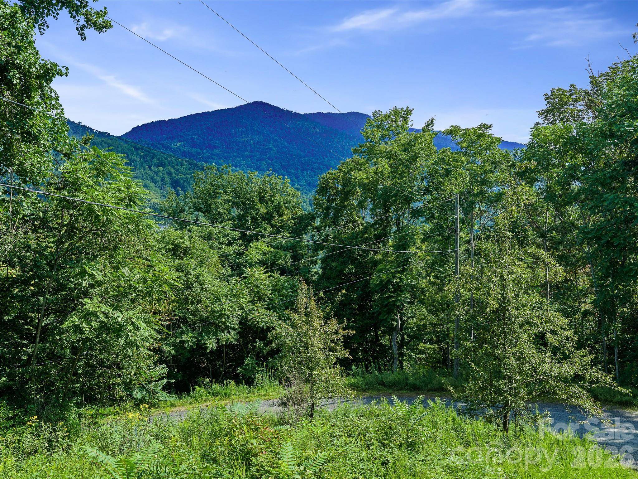 Lot #63-65 Bear Ridge RD, Bakersville, NC 28705
