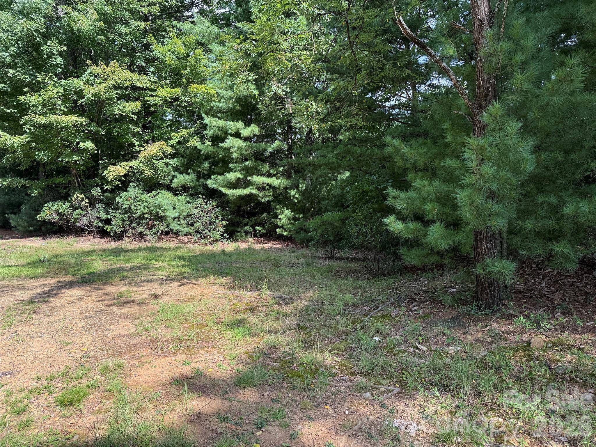 TBD Rich Pine DR #119, Purlear, NC 28665
