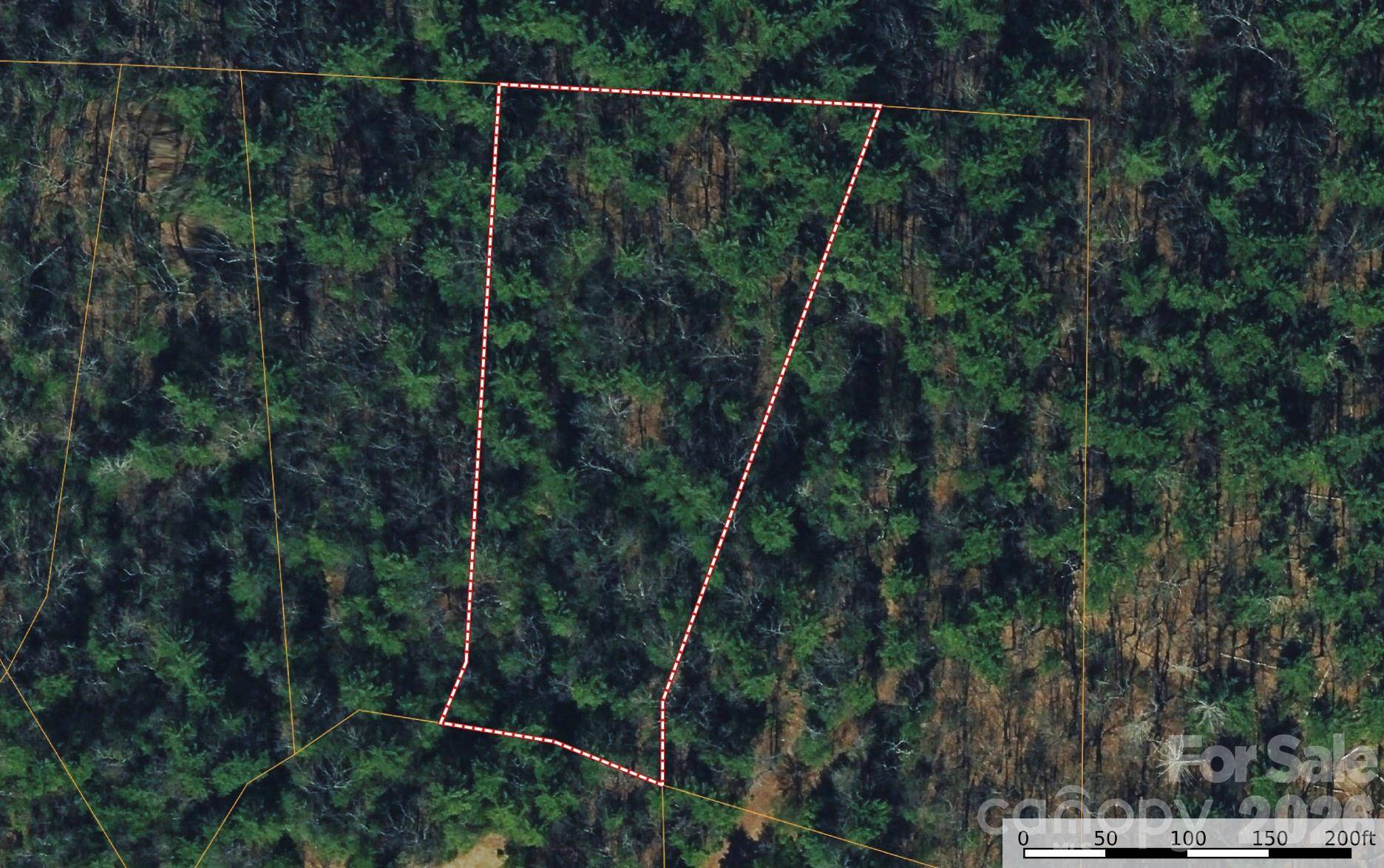 TBD Rich Pine DR #119, Purlear, NC 28665