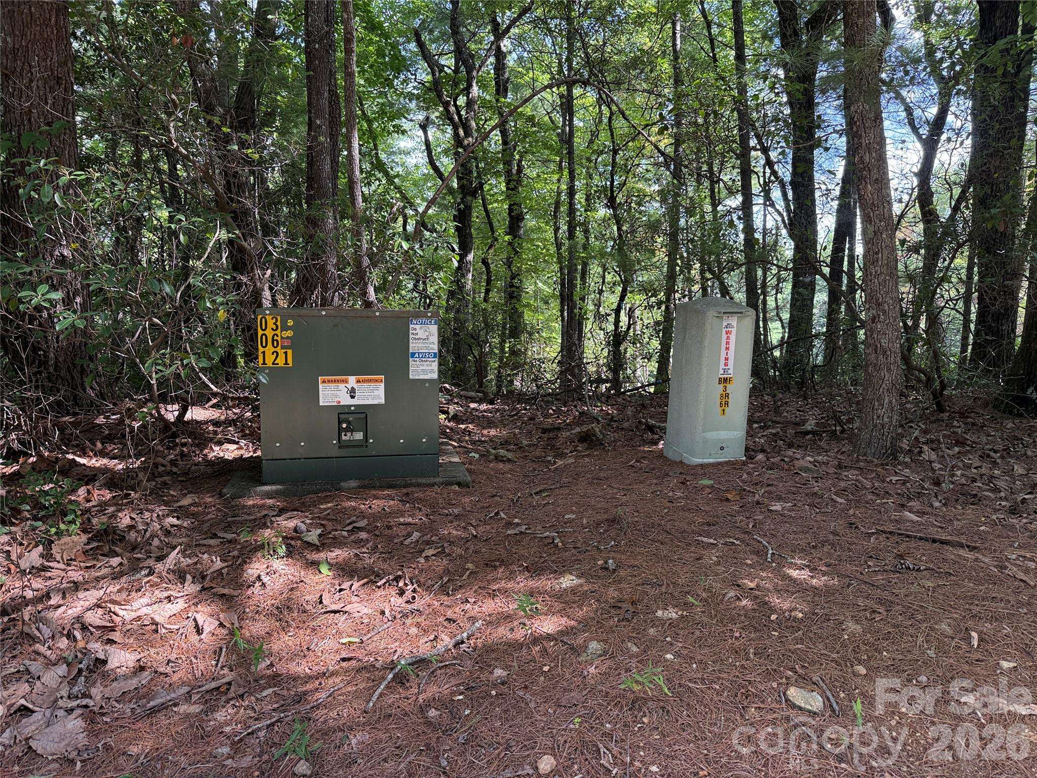 TBD Rich Pine DR #119, Purlear, NC 28665
