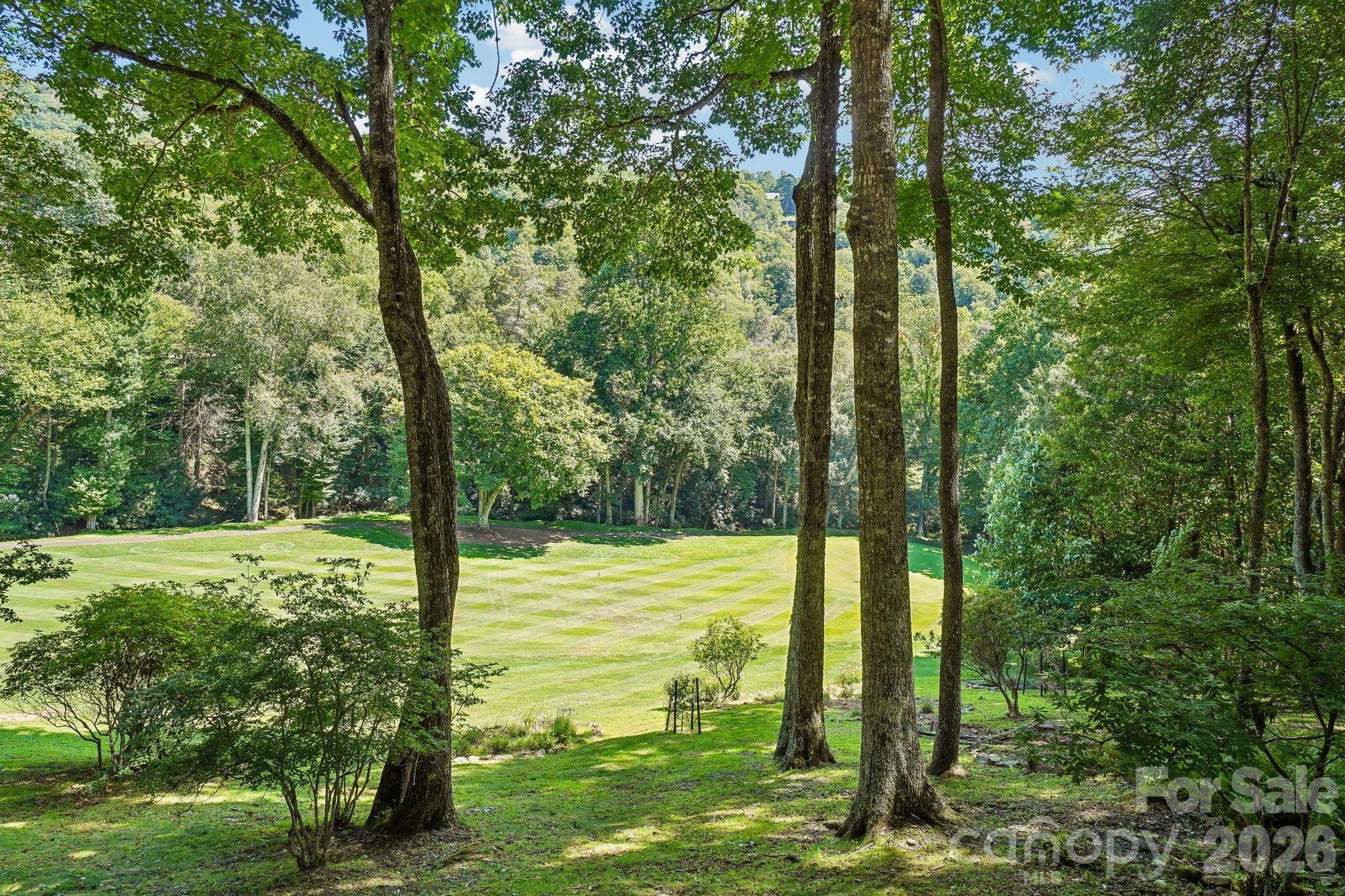 311 Wonderly LN, Mars Hill, NC 28754