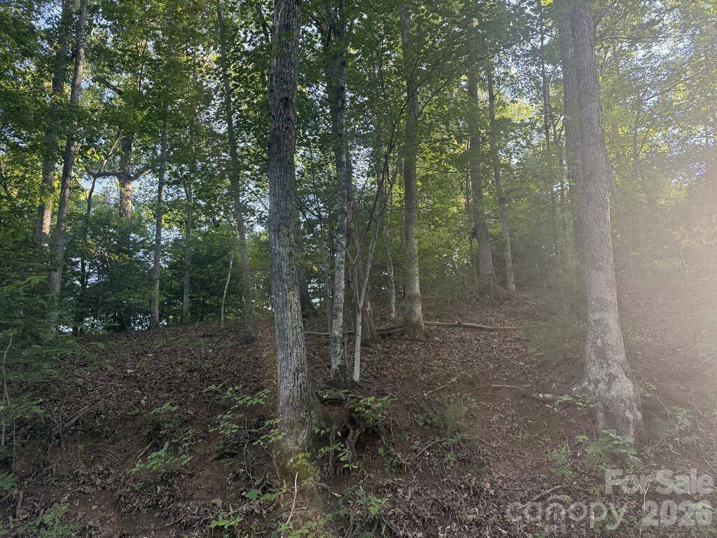 0 Canterbury RD, Cullowhee, NC 28723