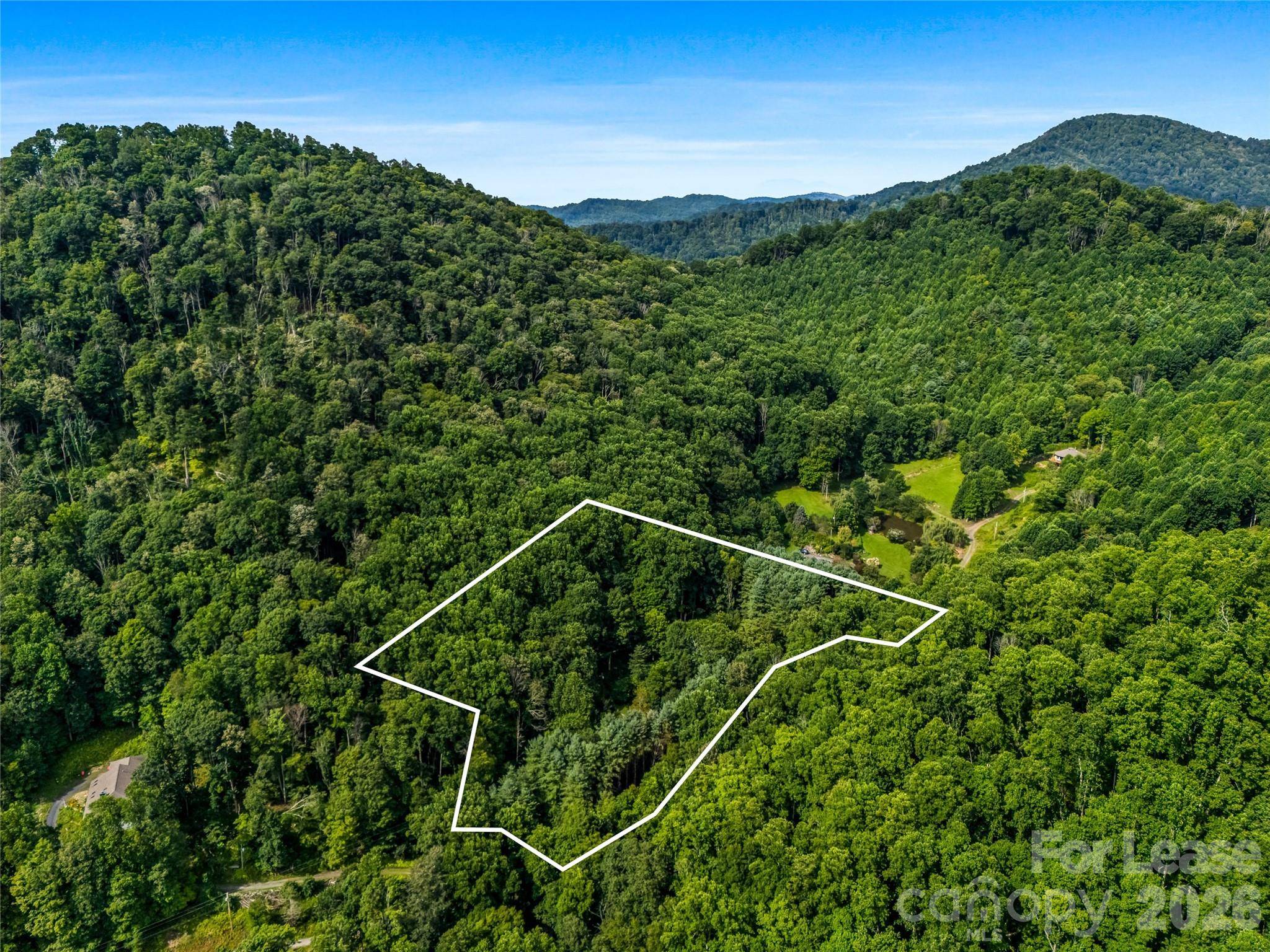 81 Summer Trees LN, Burnsville, NC 28714