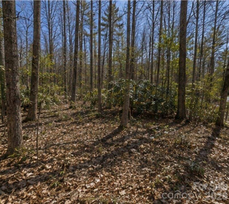 109 W Christy TRL, Sapphire, NC 28774