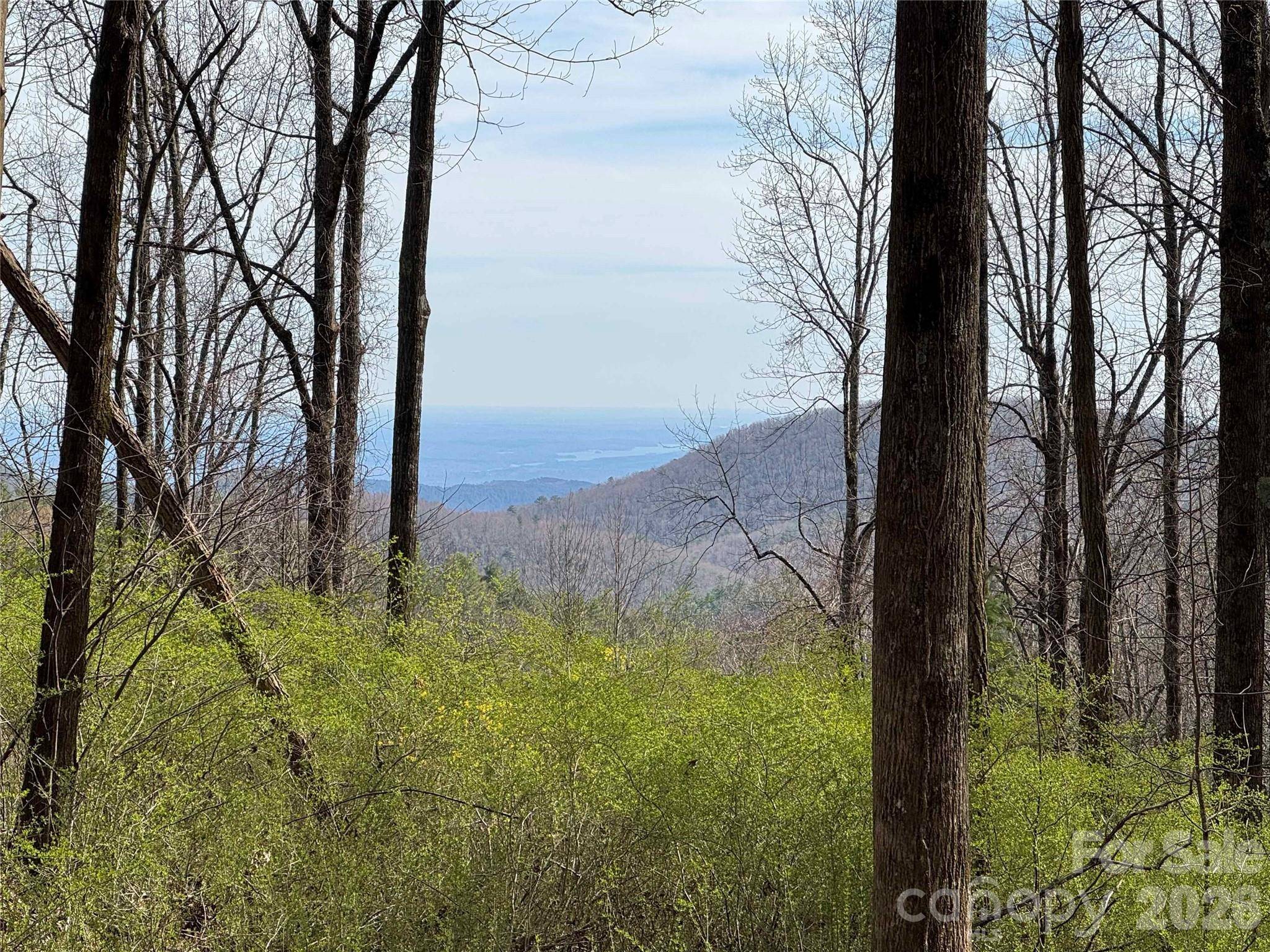L8 Black Bear CT, Sapphire, NC 28774