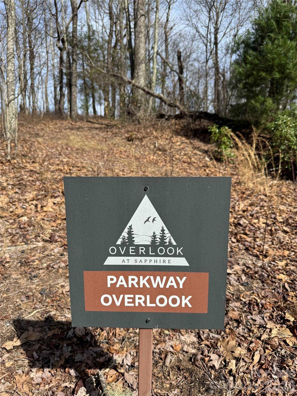 L4 Windy Gap LN, Sapphire, NC 28774