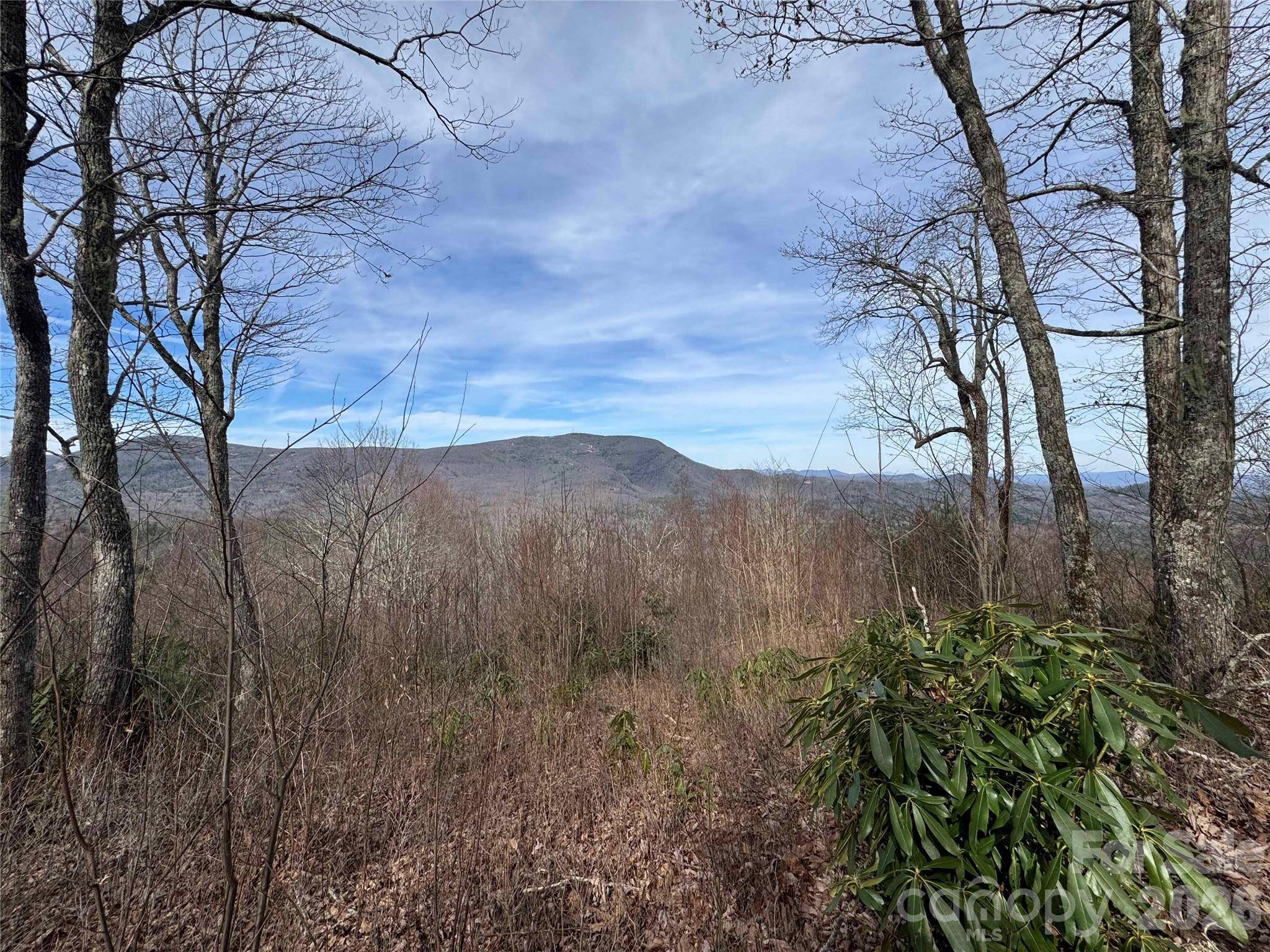 L3 Windy Gap LN, Sapphire, NC 28774
