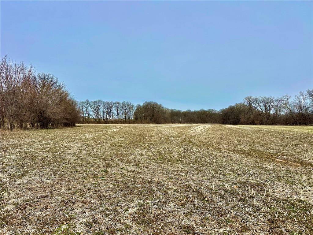 NW 401 RD, Chilhowee, MO 64733