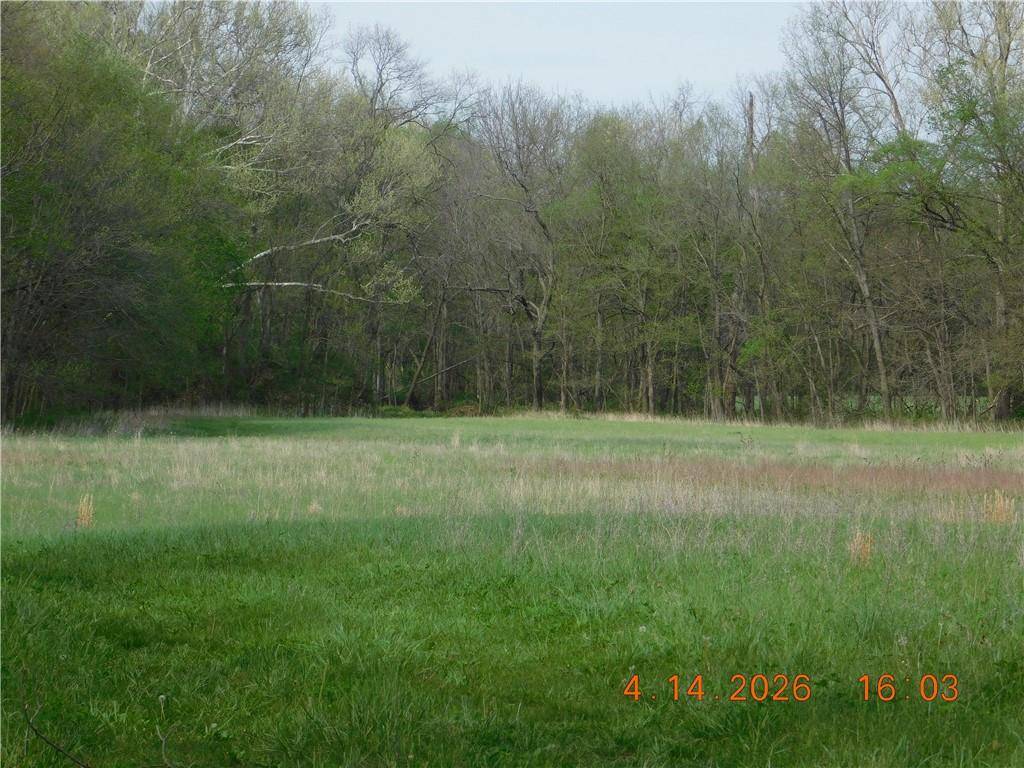 493 SW 1000 RD, Chilhowee, MO 64733