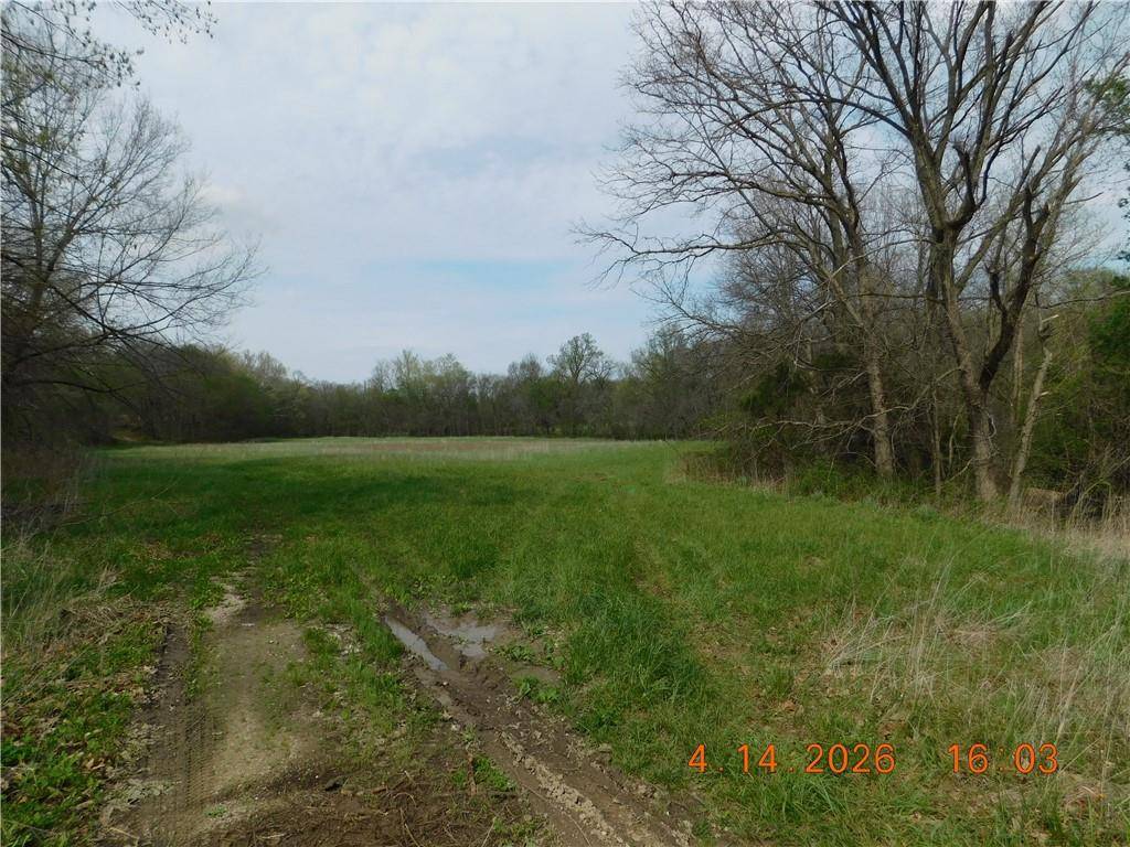 493 SW 1000 RD, Chilhowee, MO 64733
