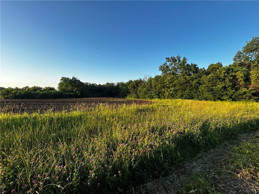 252 SW 601st rd RD, Centerview, MO 64019