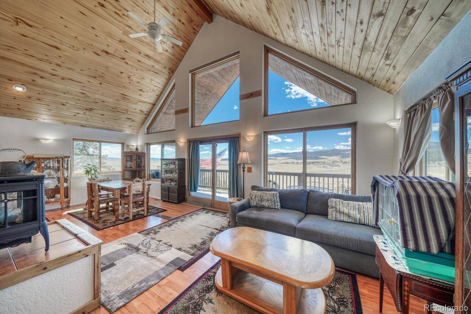 229 Ladigo LN, Hartsel, CO 80449