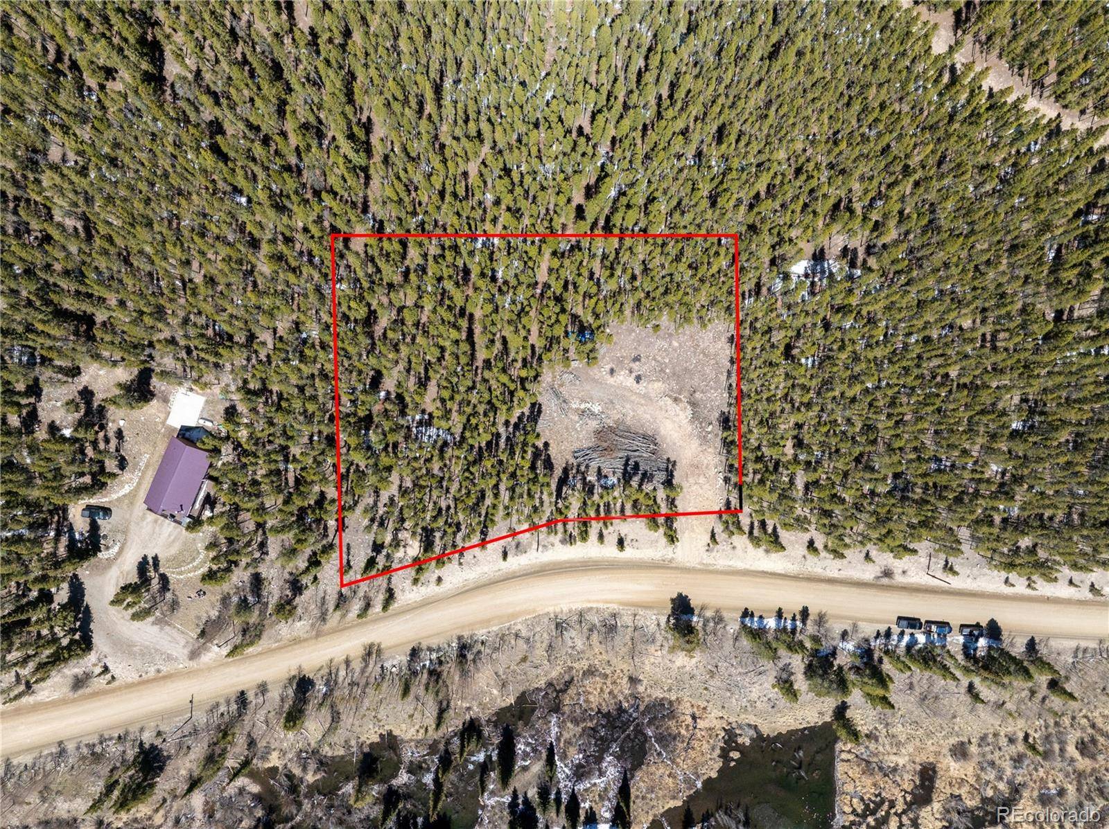 3149 Nugget RD, Fairplay, CO 80440