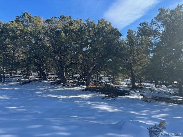 3952 Cheerful PL, Crestone, CO 81131