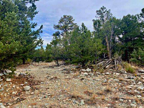 Mill Run RD, Mosca, CO 81146