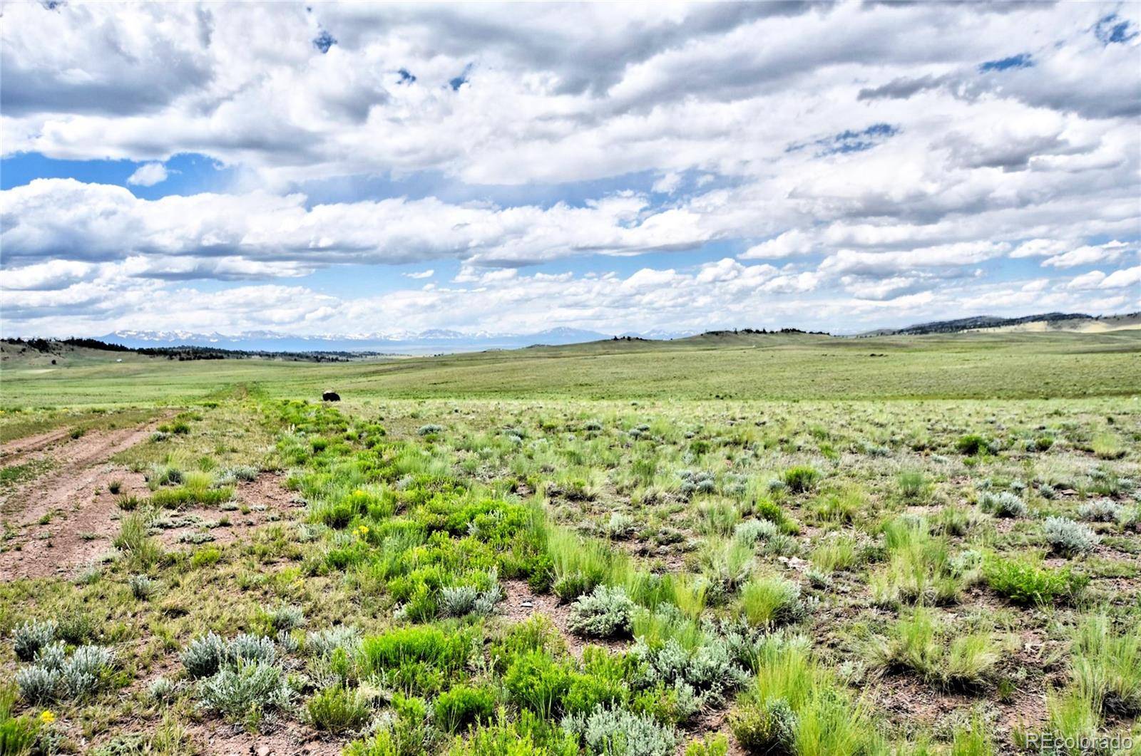 1238 Chicha RD, Hartsel, CO 80449