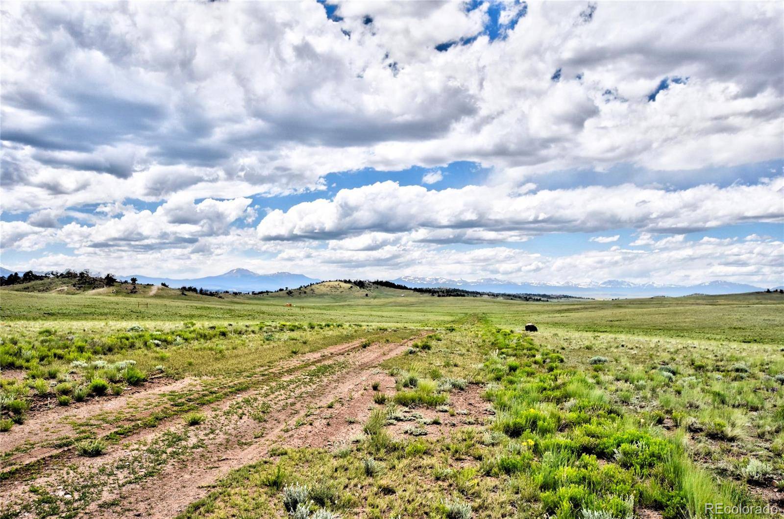 1238 Chicha RD, Hartsel, CO 80449