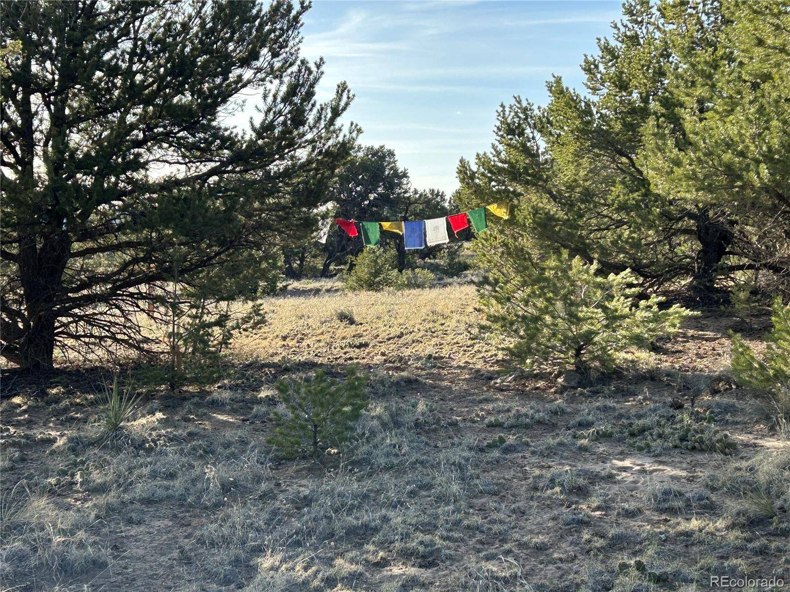 1933 Lone Pine WAY, Crestone, CO 81131