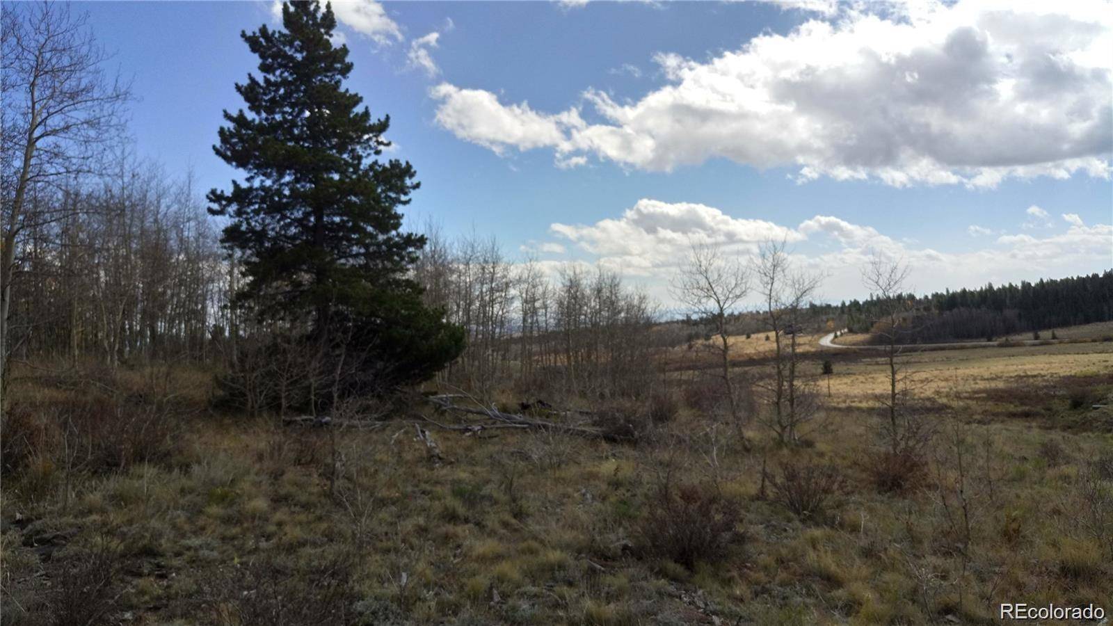 Foxtail CT, Fairplay, CO 80440
