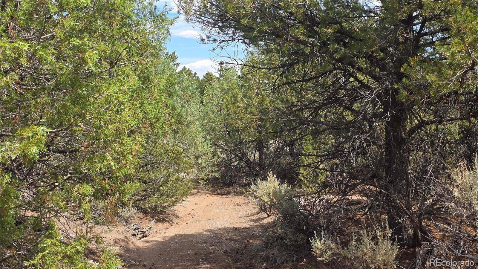 Lot 7892 Tiernan RD, Fort Garland, CO 81133