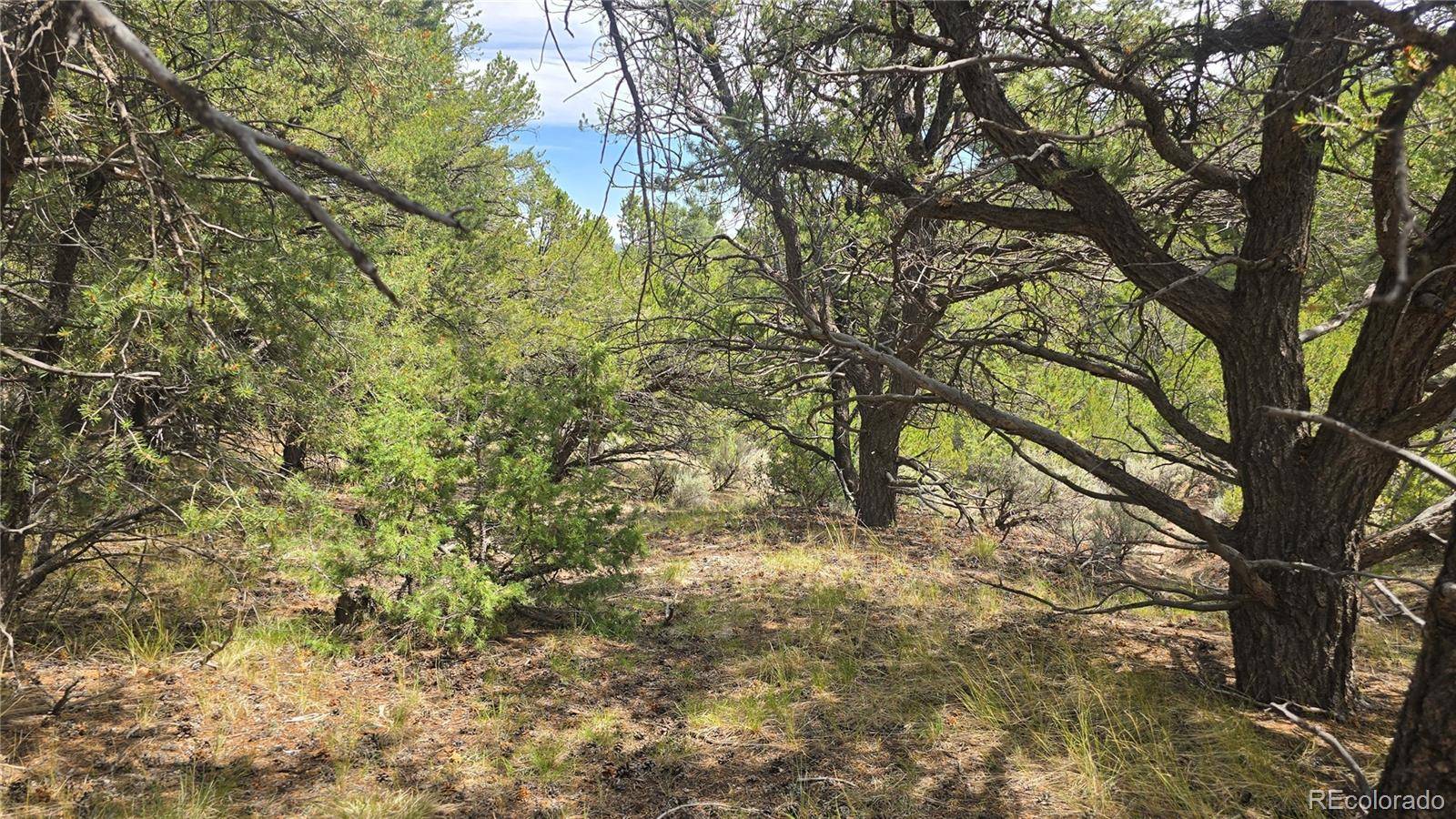 Lot 7892 Tiernan RD, Fort Garland, CO 81133