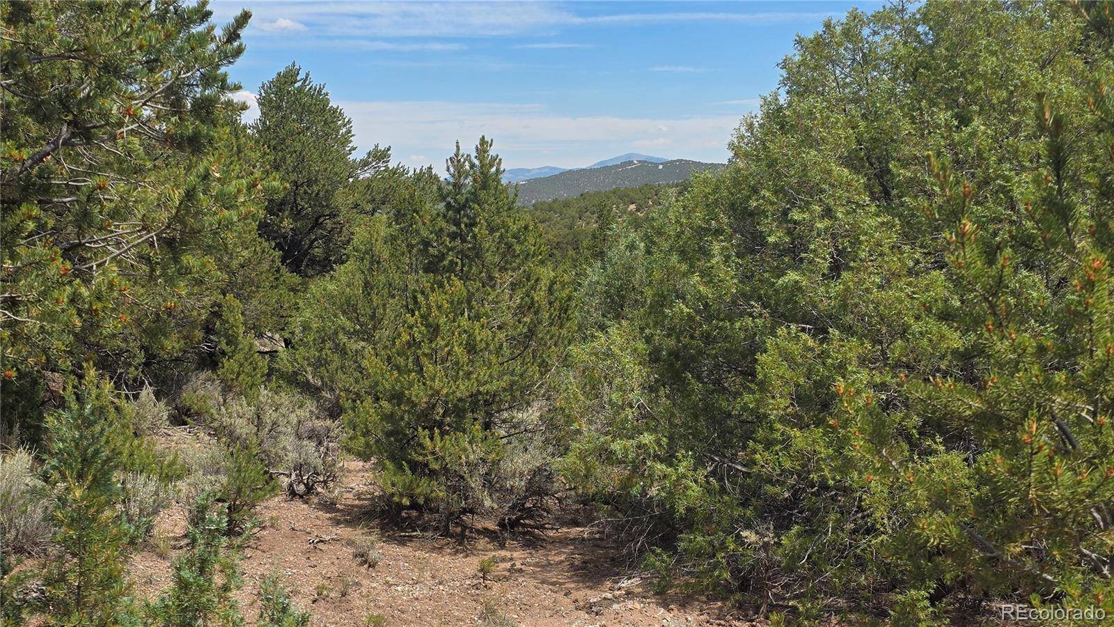 Lot 7892 Tiernan RD, Fort Garland, CO 81133