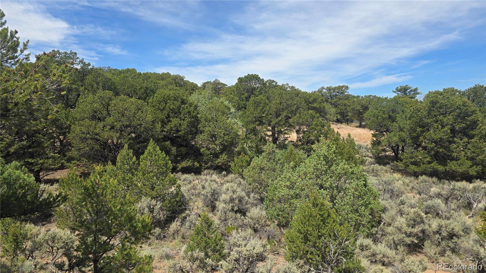 Lot 7892 Tiernan RD, Fort Garland, CO 81133