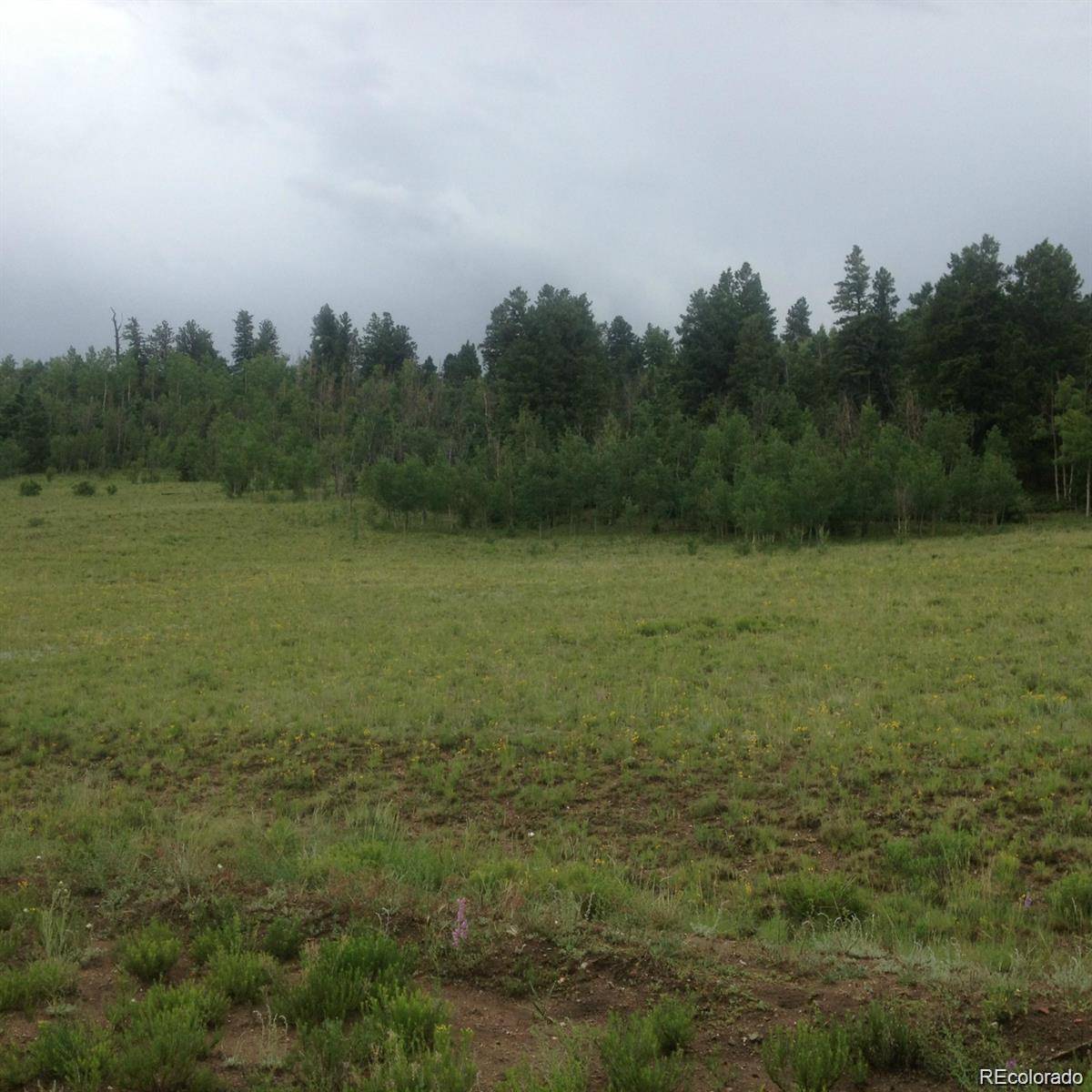 1681 Athapascan RD, Hartsel, CO 80449
